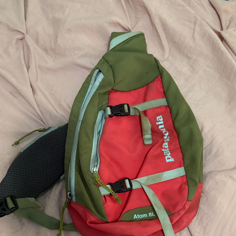 Patagonia Olive Green and Red Backpack